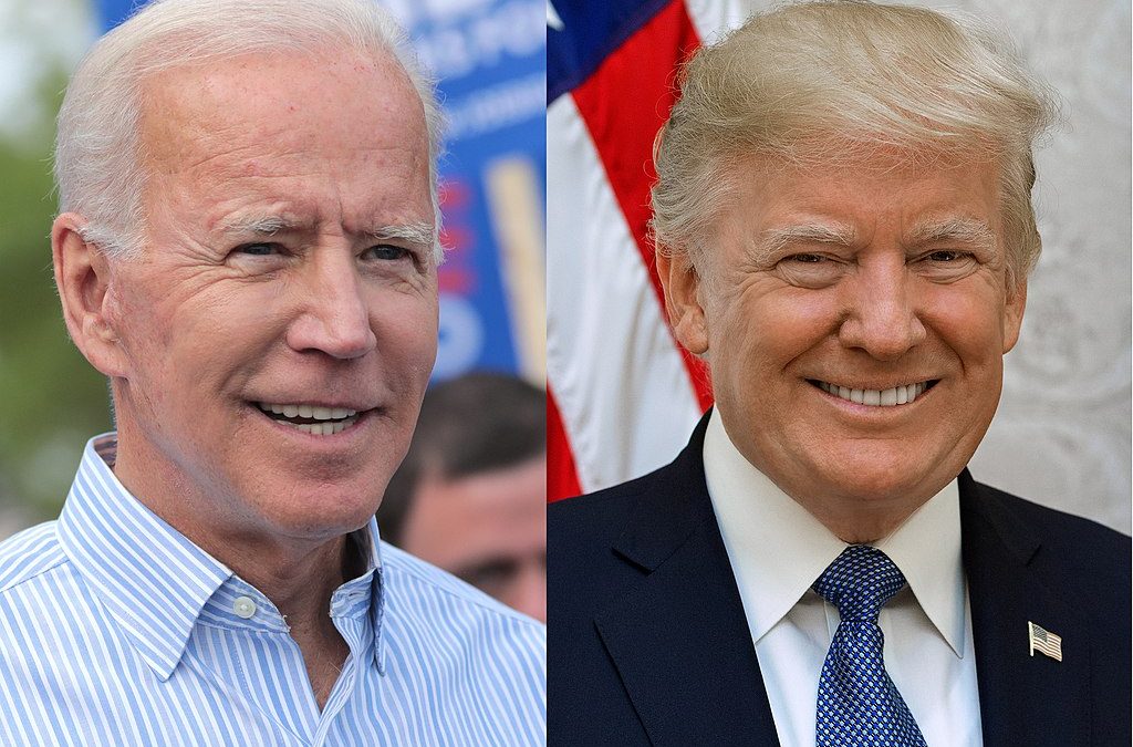 Illegal Border Crashers Can LEGALLY Vote in Federal Elections?