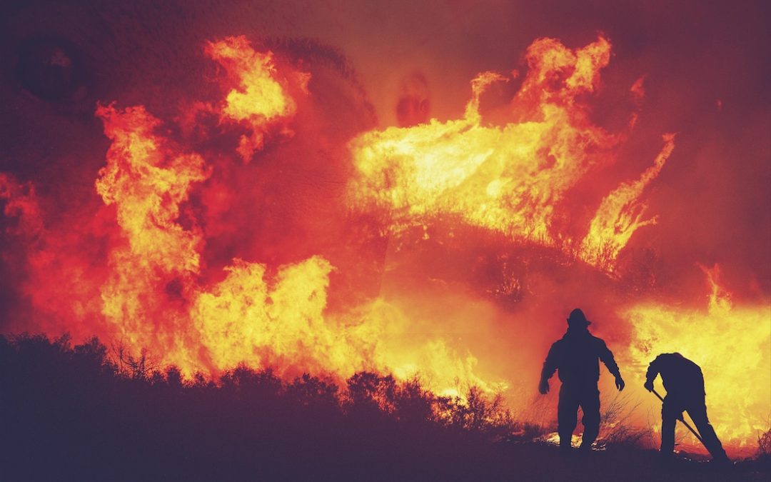 Heat, Wind, Drought Spark Wildfires in West